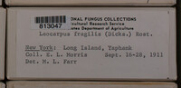 Image Associated With the Occurence